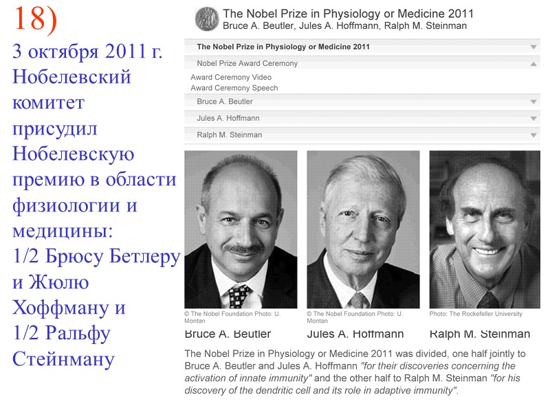 18)  3 октября 2011 г. Нобелевский комитет  присудил Нобелевскую  премию в